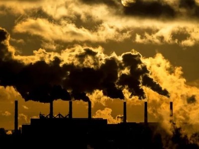 Contoh dan Skema Perdagangan Karbon, Panduan Praktis untuk Carbon Offset Perusahaan Anda